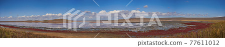 Panorama of the Koyashskoe pink salt lake in the National Opuk Reserve 77611012