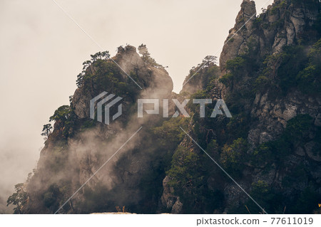 Grand stone pillars on the slopes of Mount Demerdzhi. Valley of ghosts, Crimean Mountains. 77611019