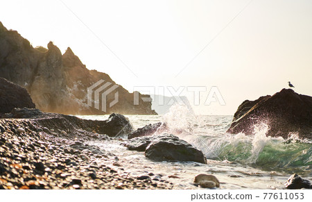 Splashing waves crash against rocks on Jasper Beach at Cape Fiolent at sunrise 77611053