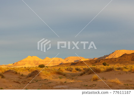 Sunset in the Sahara Desert Sunset in the Sahara Desert 77611187