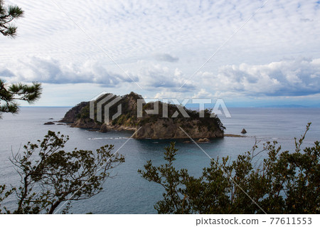 堂島/西伊豆 77611553