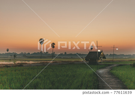 Small hut on the rice field with sunrise in concept of peaceful. Small hut on the rice field with sunrise in concept of peaceful. 77611639