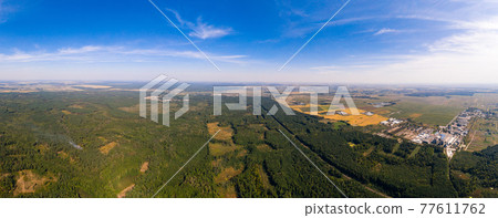 Deforestation, large-scale deforestation, destruction of the environment, deterioration of the environment in Ukraine. 77611762