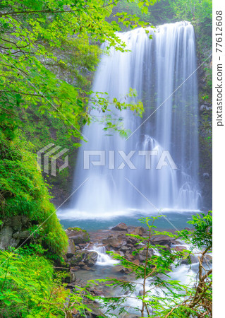 Zengorono Falls on the Norikura Plateau in summer [Nagano Prefecture] 77612608