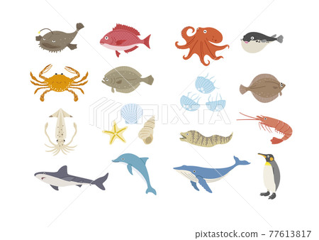 Illustration set of sea creatures 77613817