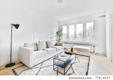 Interior of light living room in apartment Interior of light living room in apartment 77614057