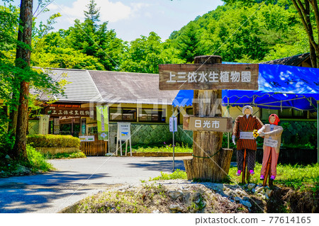 上宮水生植物園 上宮水生植物園 77614165