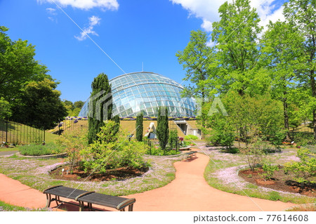 【鳥取縣】晴天下的鳥取花廊（花穹） 77614608