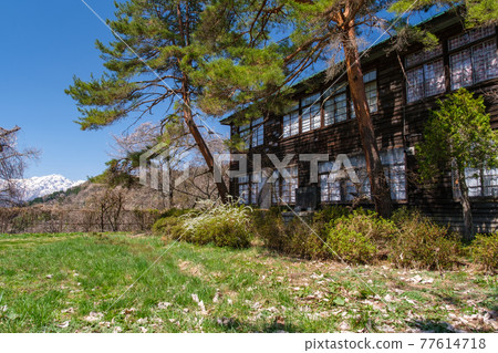 Schoolyard of closed school Schoolyard of closed school 77614718