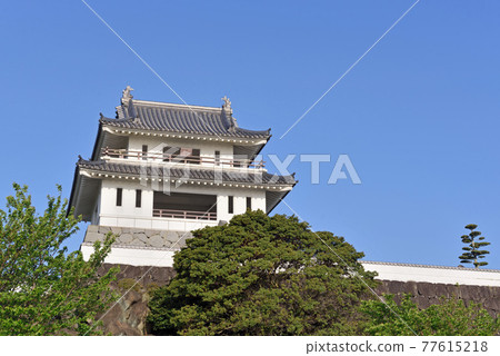 竹崎城堡歷史觀景台 77615218