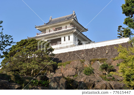 Takezaki Castle Historic Observation Deck 77615447