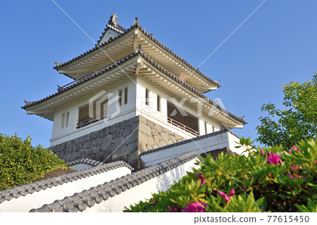 竹崎城堡歷史觀景台 77615450