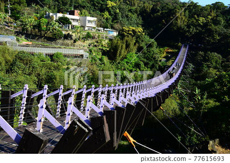 白石湖吊橋 白石湖吊橋 77615693