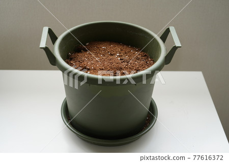 Horticulture gardening Horticulture gardening 77616372