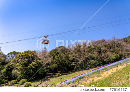 Turkish tulip garden and ropeway gondola from Hinoyama Park, Shimonoseki City, Yamaguchi Prefecture 77616387