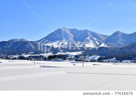 View toward Mt. Kosha from the vicinity of Tarugawa Bridge / Tarugawa (Kijimadaira Village, Nagano Prefecture) [2021.1] 77616879