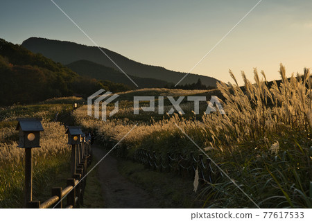 Autumn scenery of Soni Plateau, Nara Prefecture 77617533