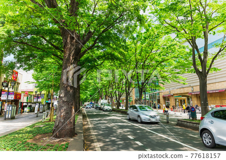 Keyakinamiki Dori, Fuchu City, Tokyo Keyakinamiki Dori, Fuchu City, Tokyo 77618157