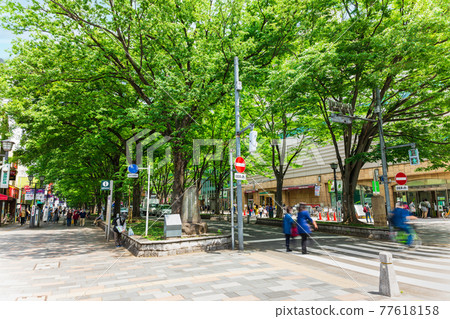 Keyakinamiki Dori, Fuchu City, Tokyo Keyakinamiki Dori, Fuchu City, Tokyo 77618158