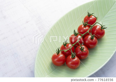 Tufted tomatoes (leaf plate) 77618556