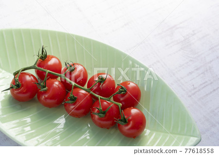 簇絨番茄（葉盤） 77618558