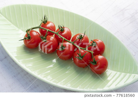 Tufted tomatoes (leaf plate) 77618560