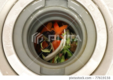 Where to throw away the vegetables in the disposer 77619138