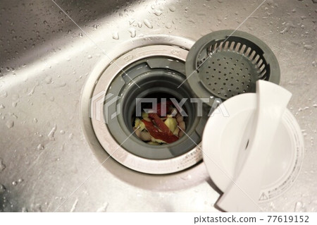 Apple skin and disposer 77619152