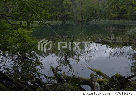 在廣rog江的河面上，在天上望雲河沿岸的林ya林屋面。 77619173