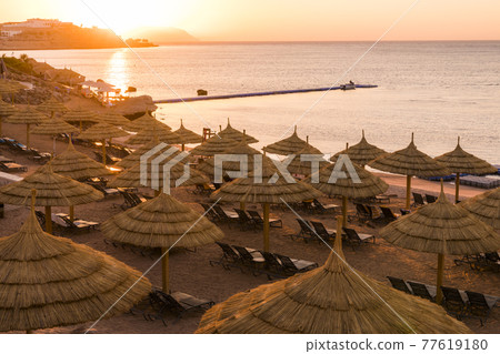 Sunset at the beach with palm trees, parasols and sunbeds. 77619180