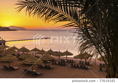 Sunset at the beach with palm trees, parasols and sunbeds. 77619185