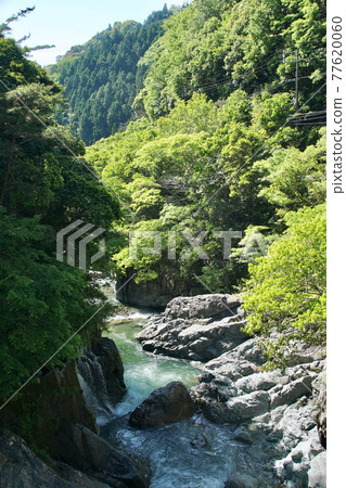 和歌山縣海曾郡新綠達摩石谷公野町 77620060