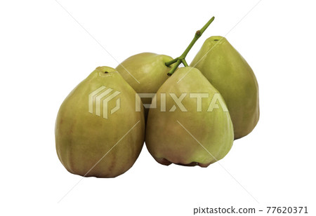 Green Rose Apples or Green Water Apples "Chompoo" isolated on white background with clipping path. 77620371