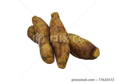 Sweet potato steamed isolated on white background with clipping path. Sweet potato steamed isolated on white background with clipping path. 77620372