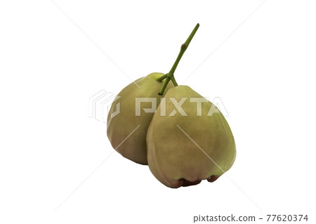 Green Rose Apples or Green Water Apples "Chompoo" isolated on white background with clipping path. Green Rose Apples or Green Water Apples "Chompoo" isolated on white background with clipping path. 77620374