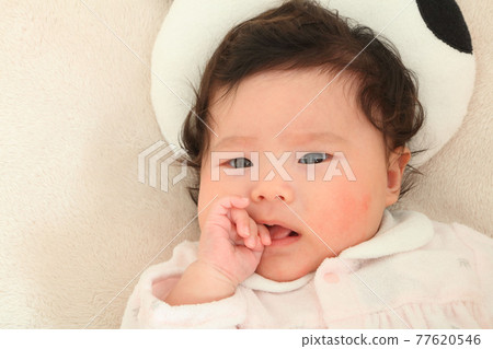 Red Chiyan, baby Red Chiyan, baby 77620546