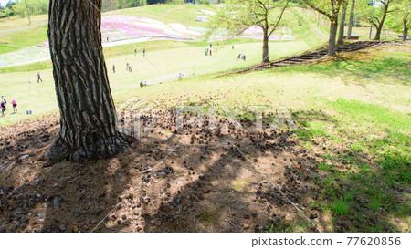 秋田縣橫手市被鮮花和綠樹環繞的終生運動 77620856