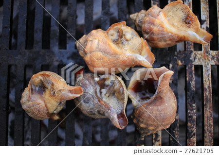 Grilled oven 77621705