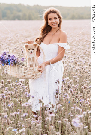 girl with a chihuahua dog in a basket with a bouquet of flowers in nature girl with a chihuahua dog in a basket with a bouquet of flowers in nature 77622412