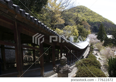 吉備津神社(走廊) 吉備津神社(走廊) 77622872