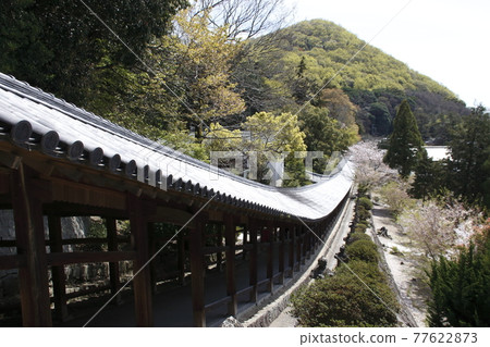 吉備津神社(走廊) 吉備津神社(走廊) 77622873