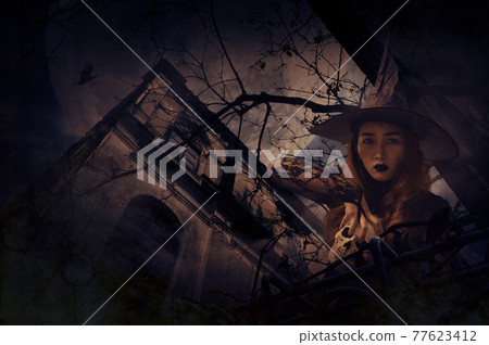 Halloween mystery concept Halloween mystery concept 77623412
