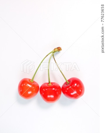 Cherry cherry 77623658