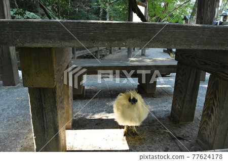免費範圍 免費範圍 77624178