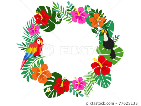 Hibiscus and tropical summer background frame 77625138