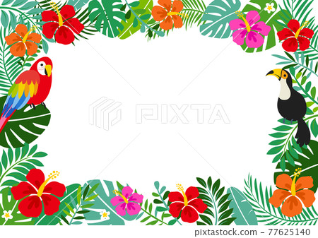 芙蓉和熱帶夏季背景框架 芙蓉和熱帶夏季背景框架 77625140