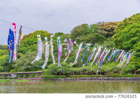 靜岡縣 藤枝市連格寺池公園 富士祭 照片素材 圖片 圖庫 靜岡縣 藤枝市連格寺池公園 富士祭 照片素材 圖片 圖庫