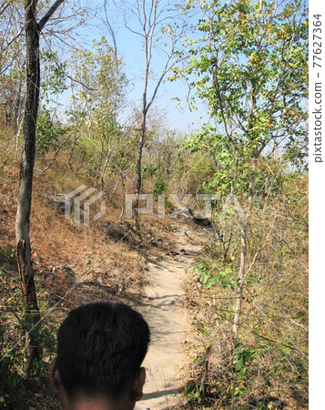 感覺就像在泰國華欣的大象村探索一樣。 77627364