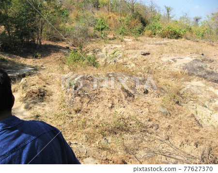 感覺就像在泰國華欣的大象村探索一樣。 77627370