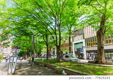 Keyakinamiki Dori, Fuchu City, Tokyo Keyakinamiki Dori, Fuchu City, Tokyo 77628281